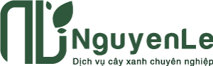 NGUYỄN LÊ – DỊCH VỤ CÂY XANH CHUYÊN NGHIỆP