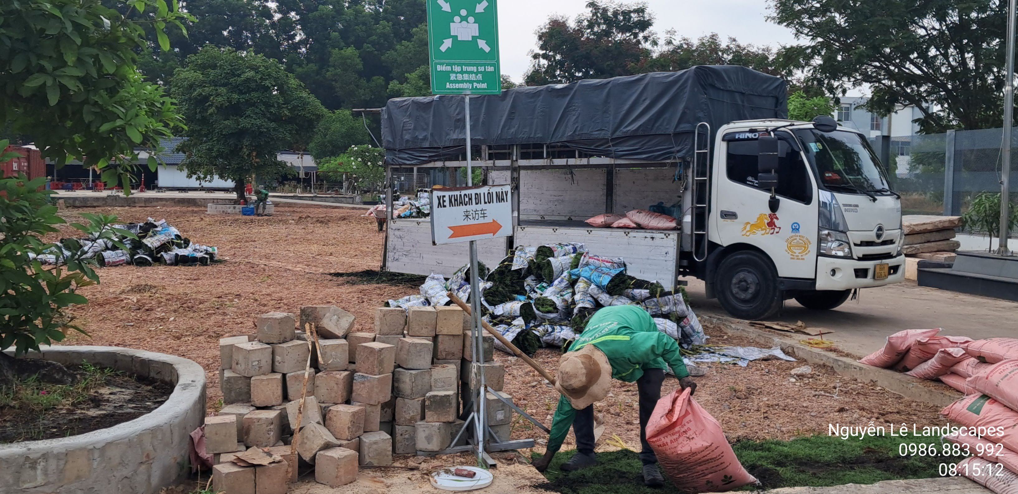 Xe tải của công ty vận chuyển cỏ đến tận chân công trình, đảm bảo cỏ luôn tươi mới nhất trước khi xuống giống.