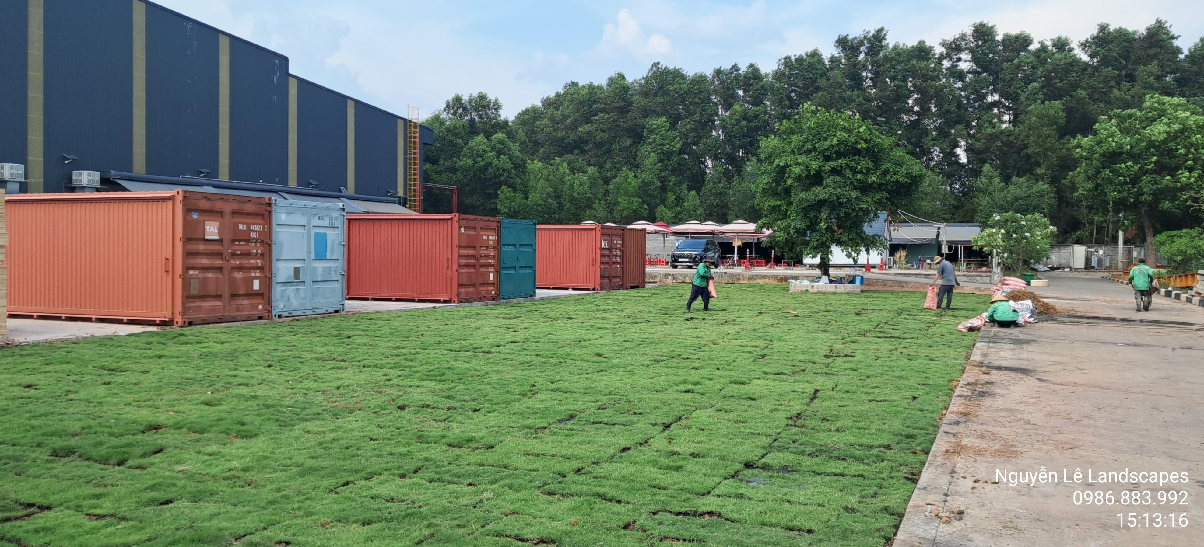 rải phân bón lót và chăm sóc kỹ lưỡng giai đoạn đầu